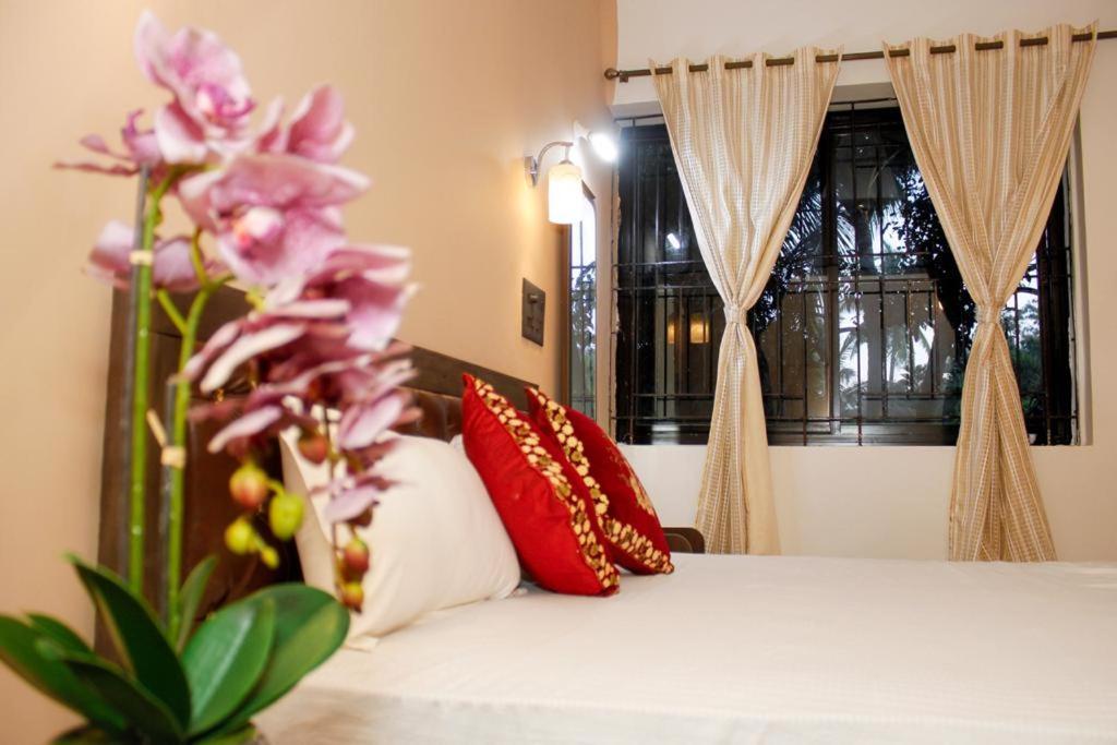 Carolina Guesthouse Колва Экстерьер фото